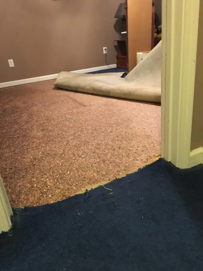 Carpet pad removal revealing water damage during Water Mitigation Services in Florissant