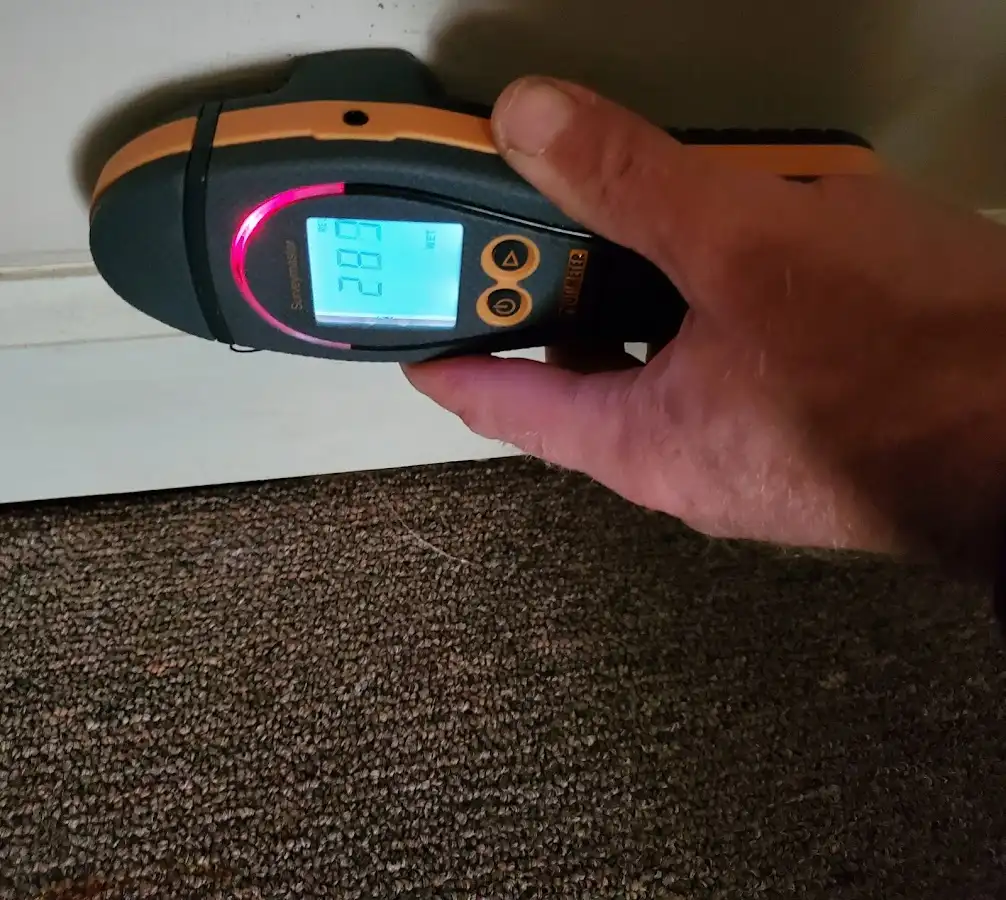 Moisture detection at baseboard during Sewage Cleanup & Sanitation in Florissant